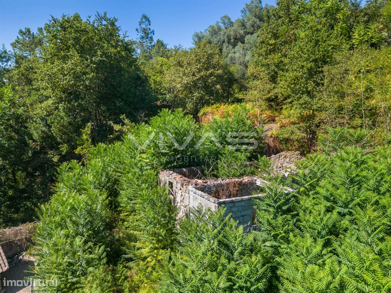 Moradia para Restaurar T0 Venda em Vade,Vila Verde - Grande imagem: 3/16