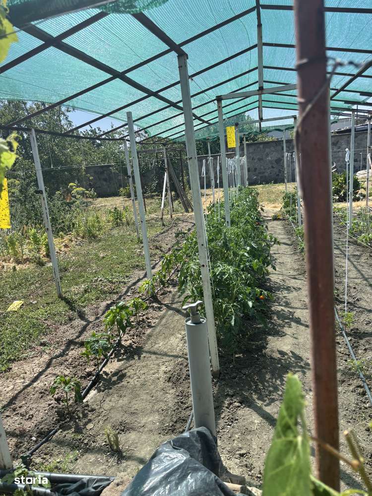 Vand casa cu teren 3900 mp Sag 280000 euro-14