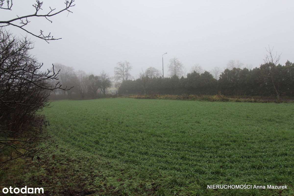 Dom z dużą działką, idealną pod AG, przy trasie nr 92 w Paczkowie-7