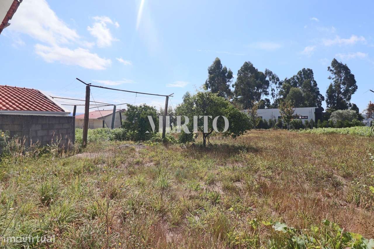 Quintinha com uma moradia térrea. - Grande imagem: 3/25