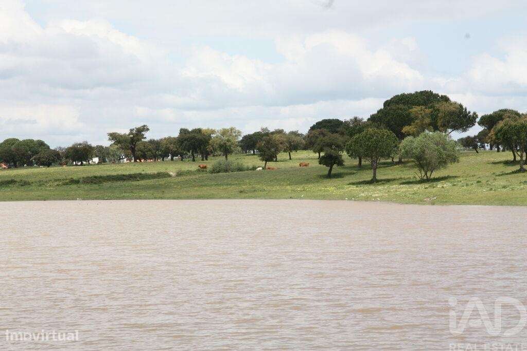 Terreno para construção T8 em Poceirão e Marateca de 19000,00 m2 - Grande imagem: 5/30