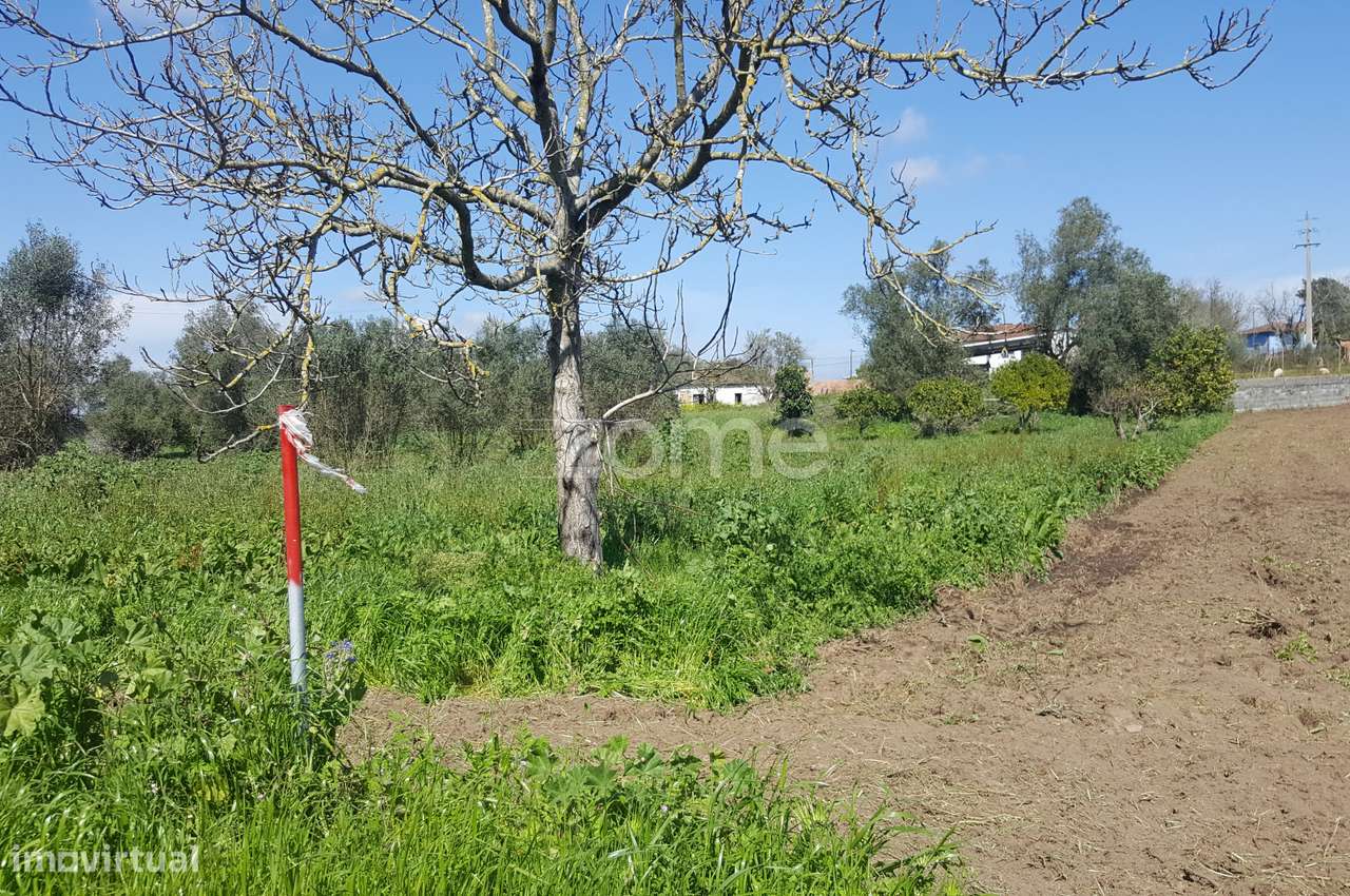 Terreno urbanizável em Milagres - Grande imagem: 3/17
