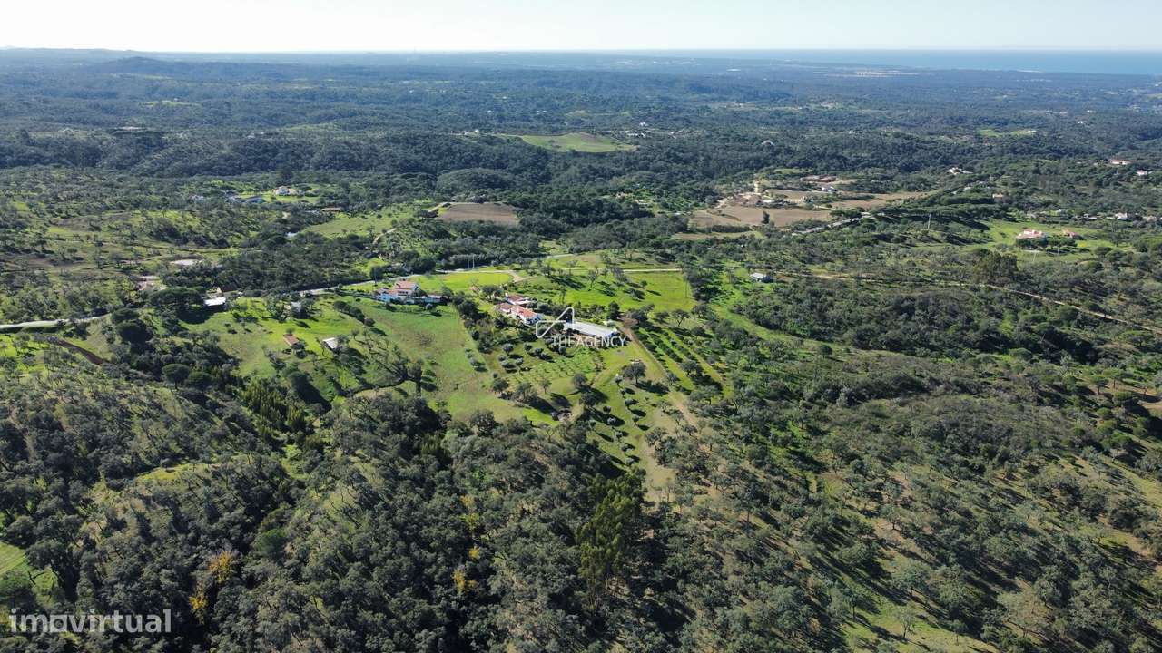 Terreno com 8 hectares  e moradia T3 para renovar - Grande imagem: 5/20