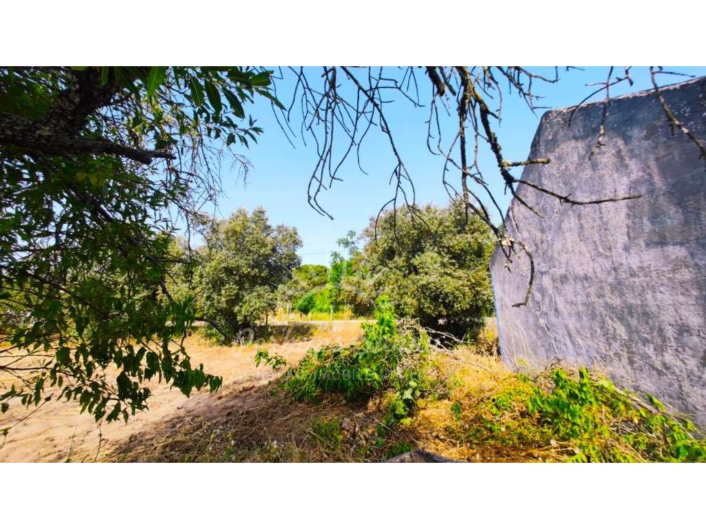 Quintinha - Grande imagem: 4/16