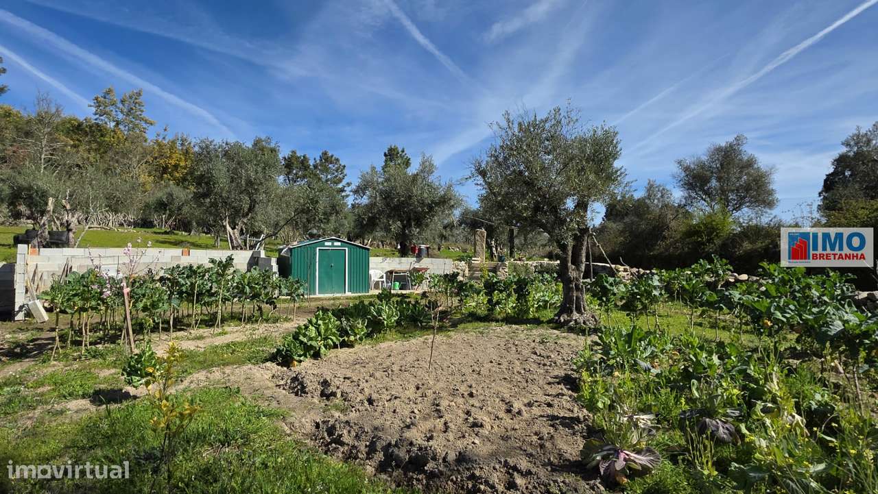 Quinta com 3500m2 em Póvoa de Rio de Moinhos - Grande imagem: 3/18