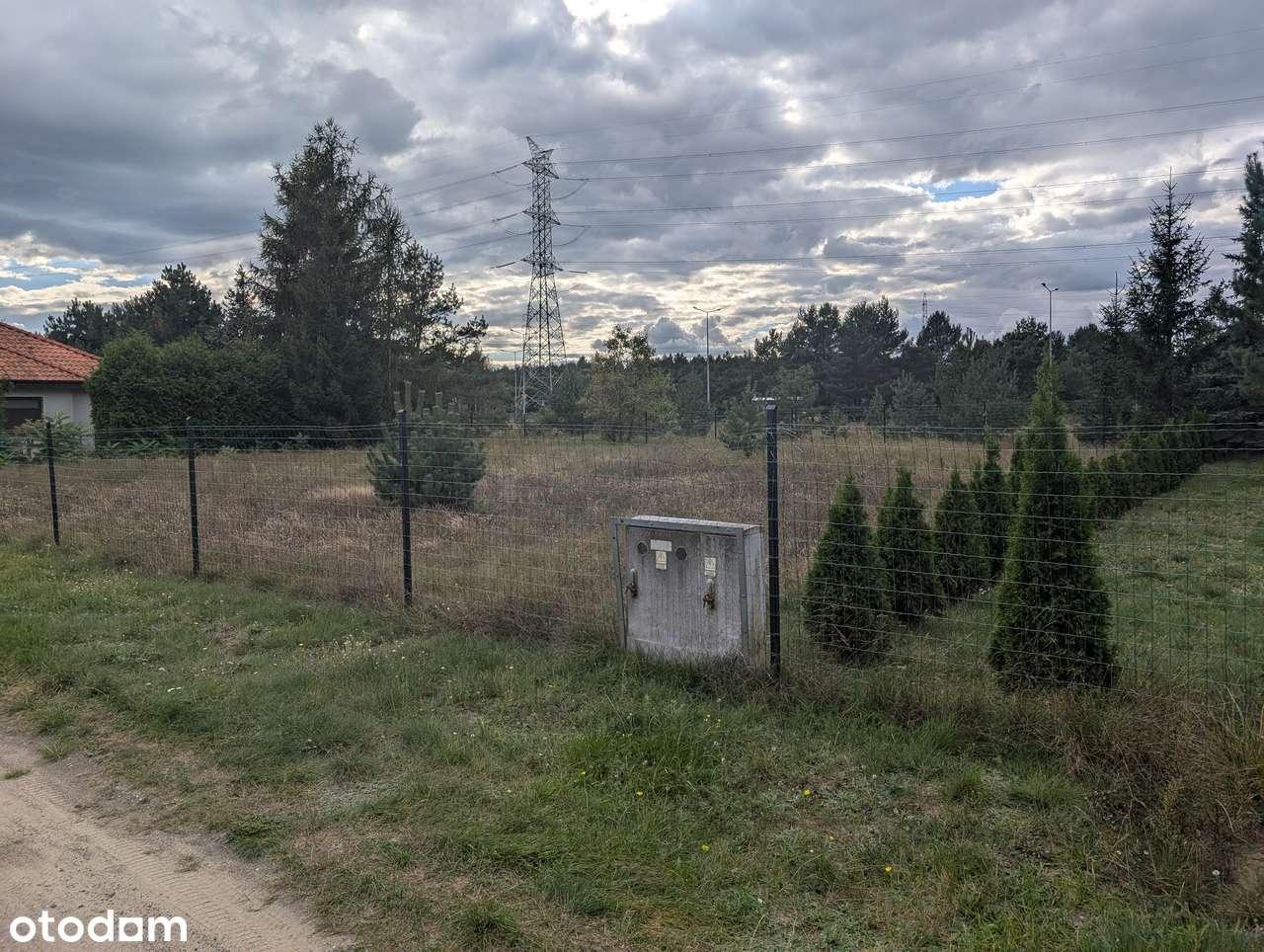 działka w mieście w pobliżu lasu - Pełny obrazek: 5/6