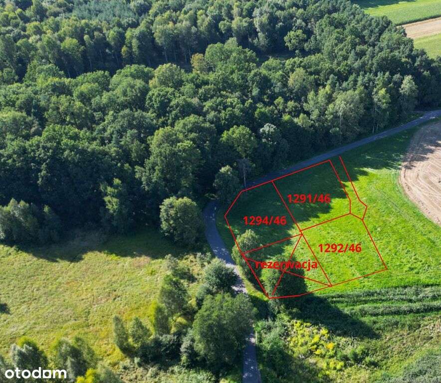 Pasieki, las, media i asfalt - idealne !-0