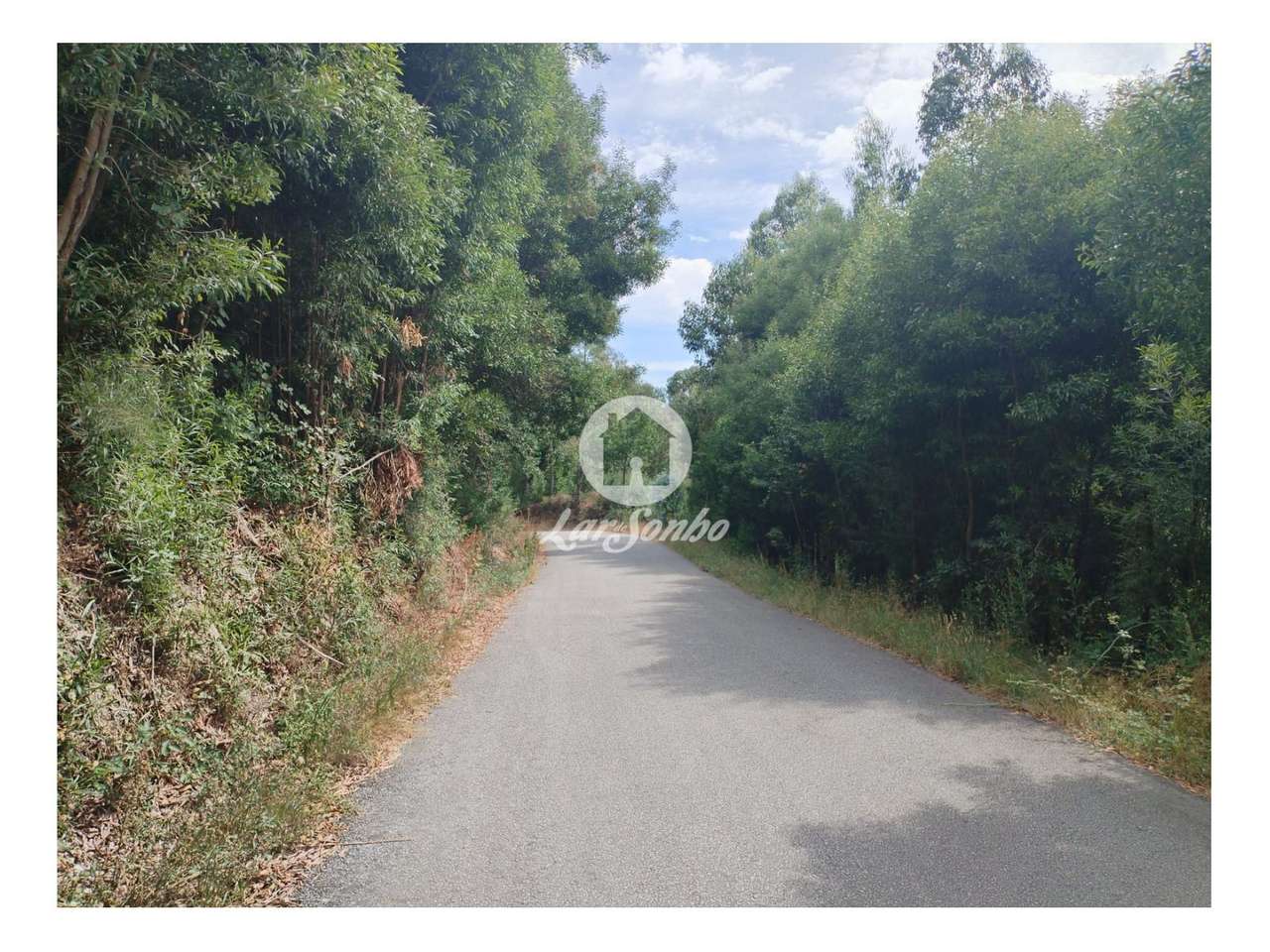 Terreno Caçarilhe Celorico de Basto - Grande imagem: 4/7