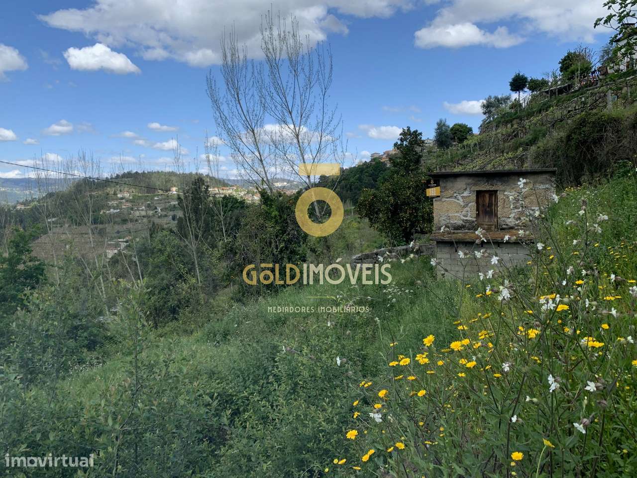 Terreno Rústico  Venda em Souselo,Cinfães - Grande imagem: 3/9