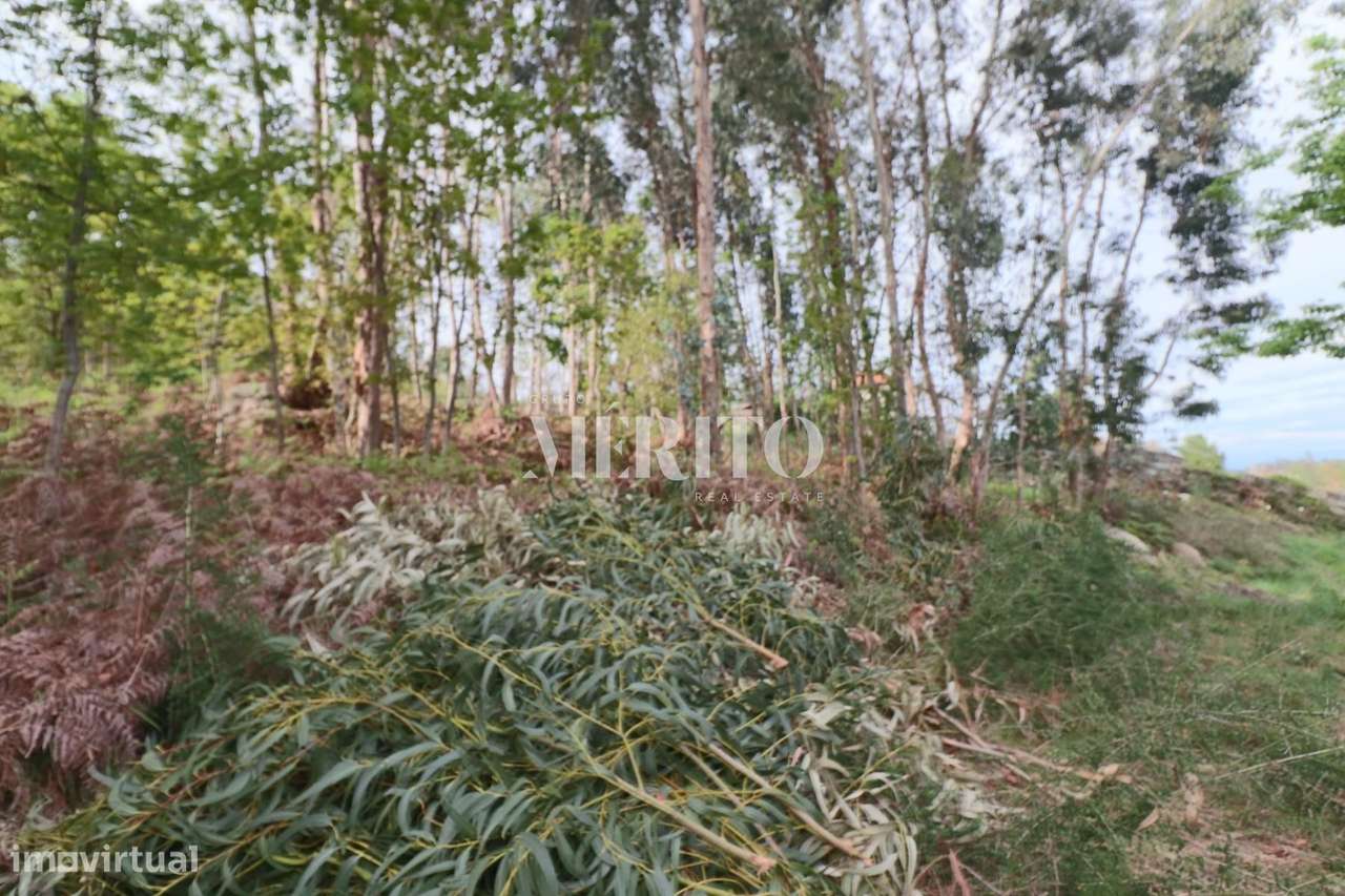 Lote de terreno para construção, com área total de 4.861M2 na freguesi - Grande imagem: 4/18