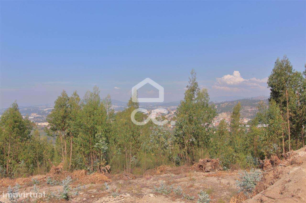 Terreno em São Mamede - Negrelos - Grande imagem: 5/6