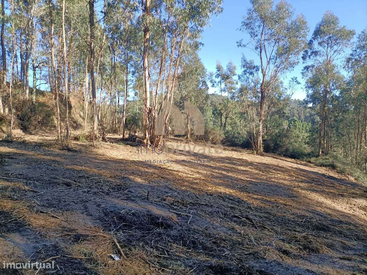 Terreno em Infantas, Guimarães-5