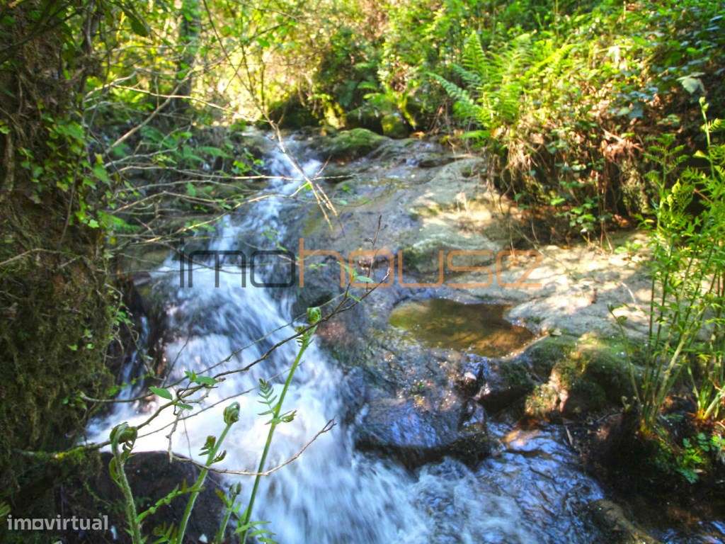 Quinta de 5.6 ha - Varias edificações, ribeiro e vista Douro-27