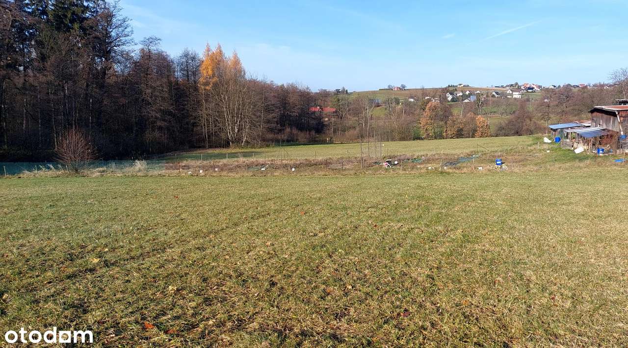 Międzyświeć - prostokątna działka budowlana blisko Skoczowa - Pełny obrazek: 4/6