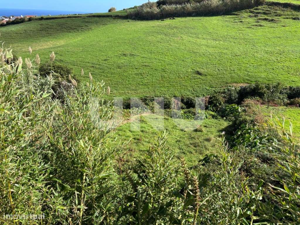 Terreno Rústico em São Pedro Nordestinho - Grande imagem: 4/7