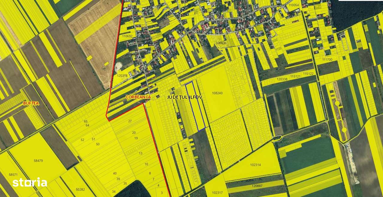 Teren Tamasi Corbeanca-1