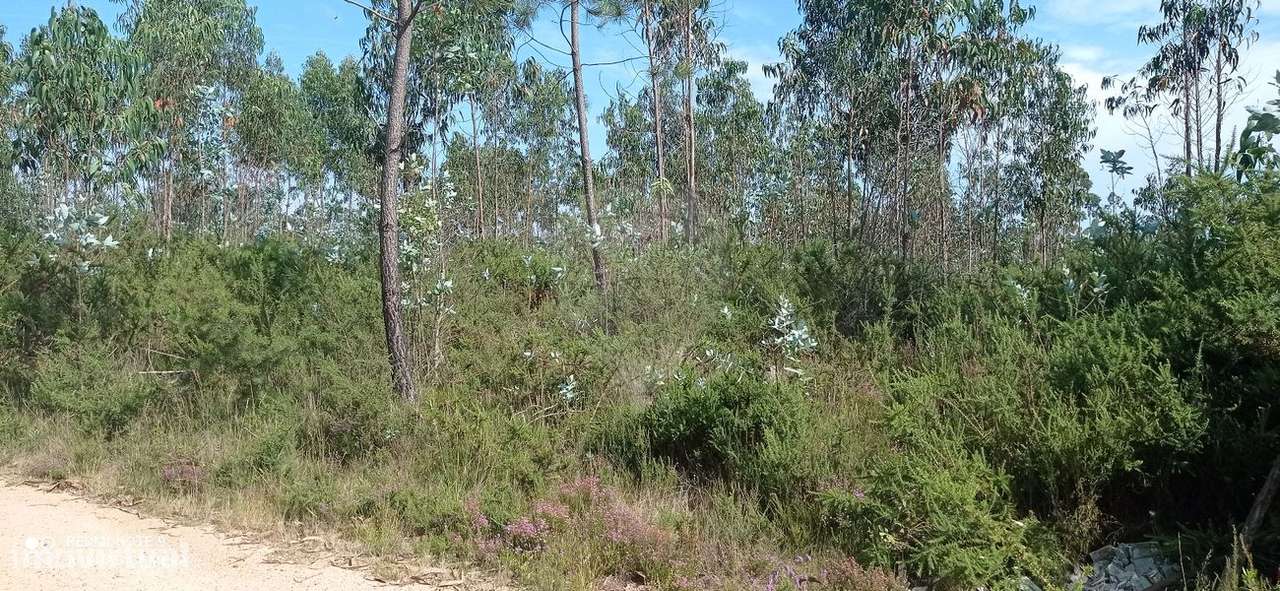 Terreno  para venda - Grande imagem: 4/4