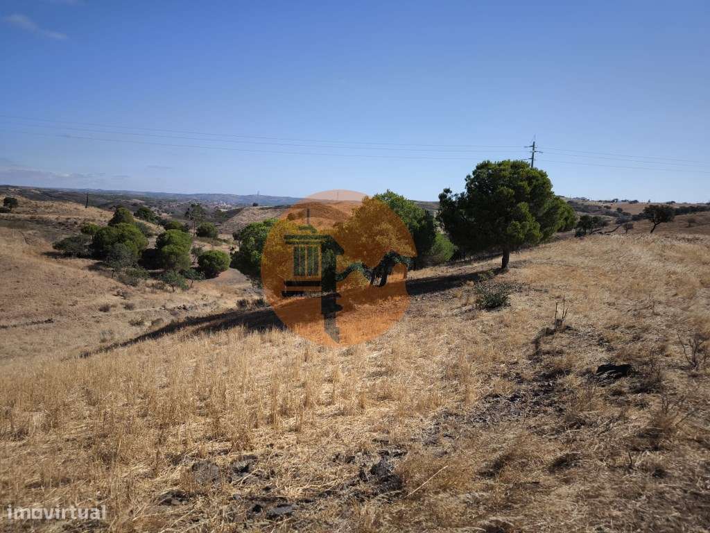 TERRENO COM 99.080 m2 - COM APOIO AGRICOLA EM RUINAS - POSSIBILIDAD... - Grande imagem: 1/31