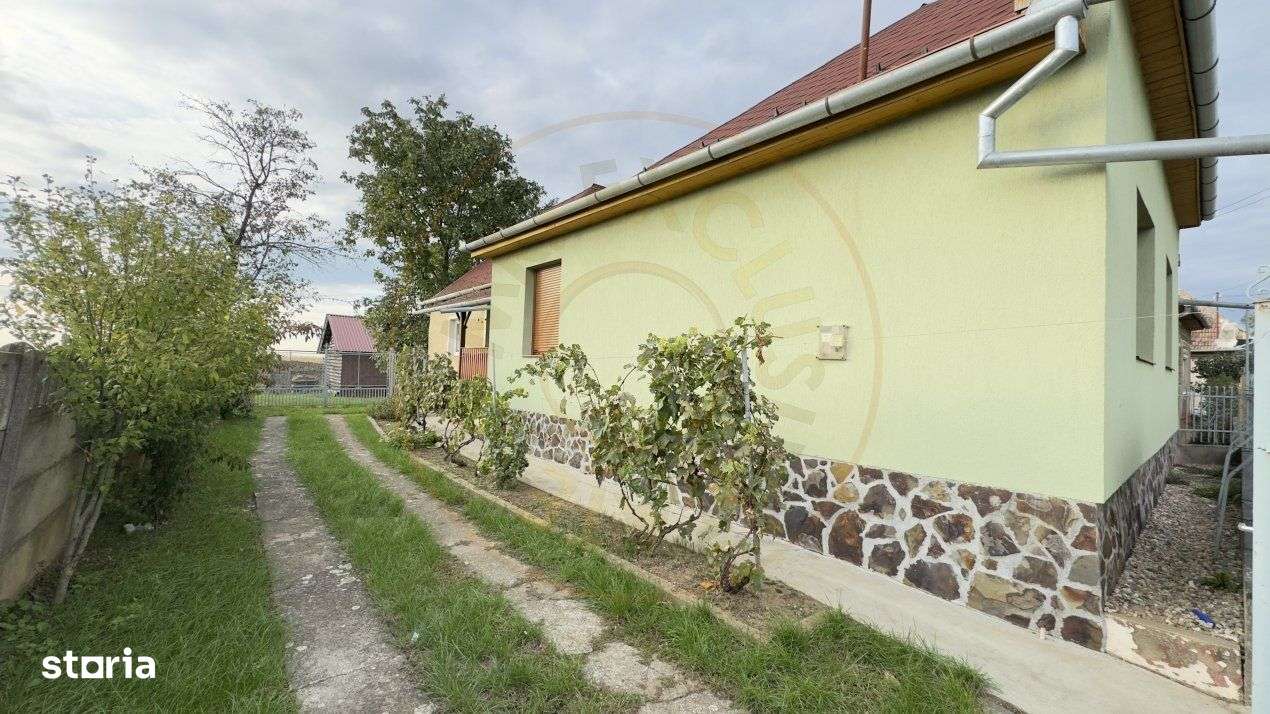 Casa 4 camere, Teren 3.405 mp Loc. Dindestiu Mic Jud. Satu Mare-Comisi - Imagine principală: 2/19