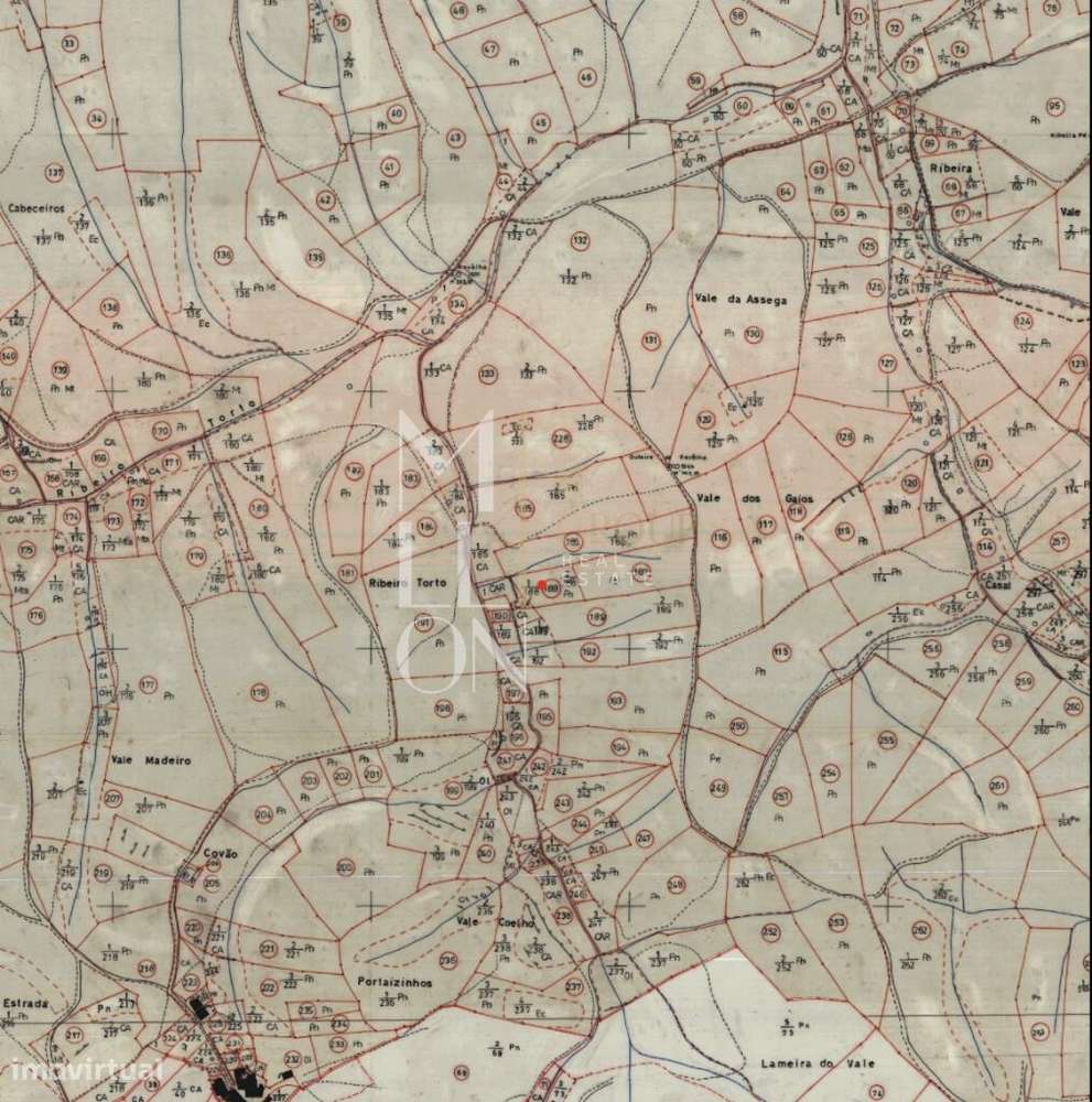 Terreno Rústico 1.520 m2 com Oliveiras e Pinhal – Amêndoa, Mação (Ribe - Grande imagem: 4/4