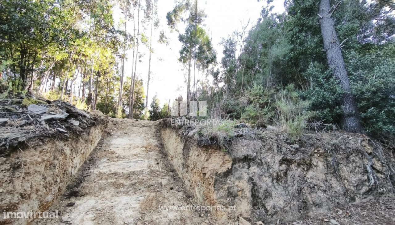 Venda de Terreno para construção, Meixedo, Viana do Castelo - Grande imagem: 4/19