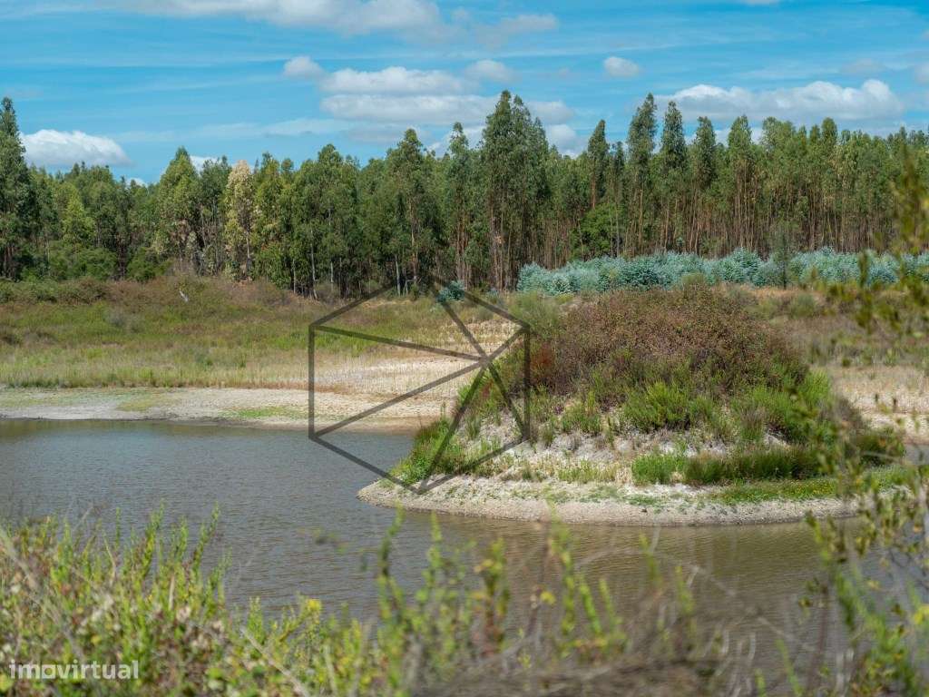 Herdade com 168 hectares em Ponte de Sôr para venda - Grande imagem: 4/33