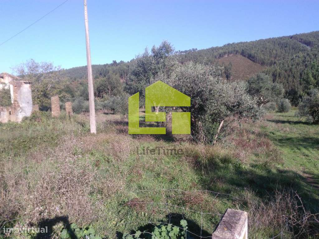 Terreno com casa para recuperar - Grande imagem: 3/17