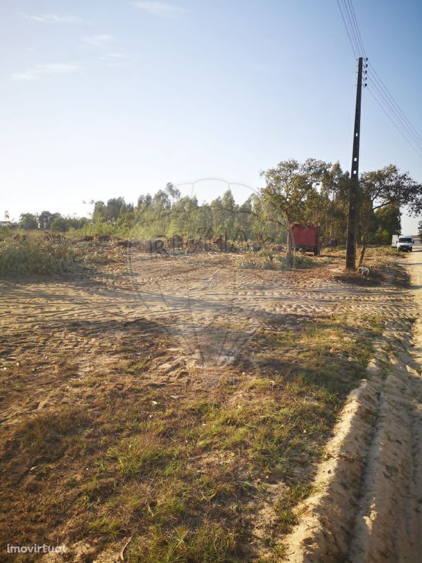 Terreno  para venda