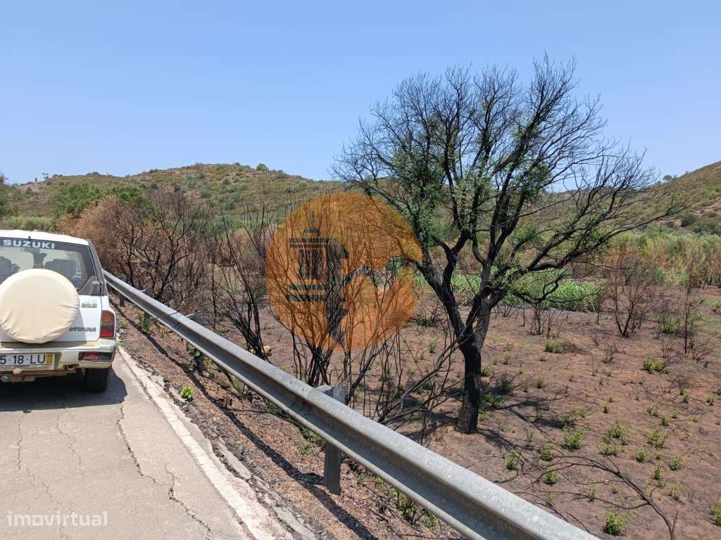 TERRENO RUSTICO COM 2.960 M2 - PLANO- NO AZINHAL EM CASTRO MARIM - ... - Grande imagem: 5/24