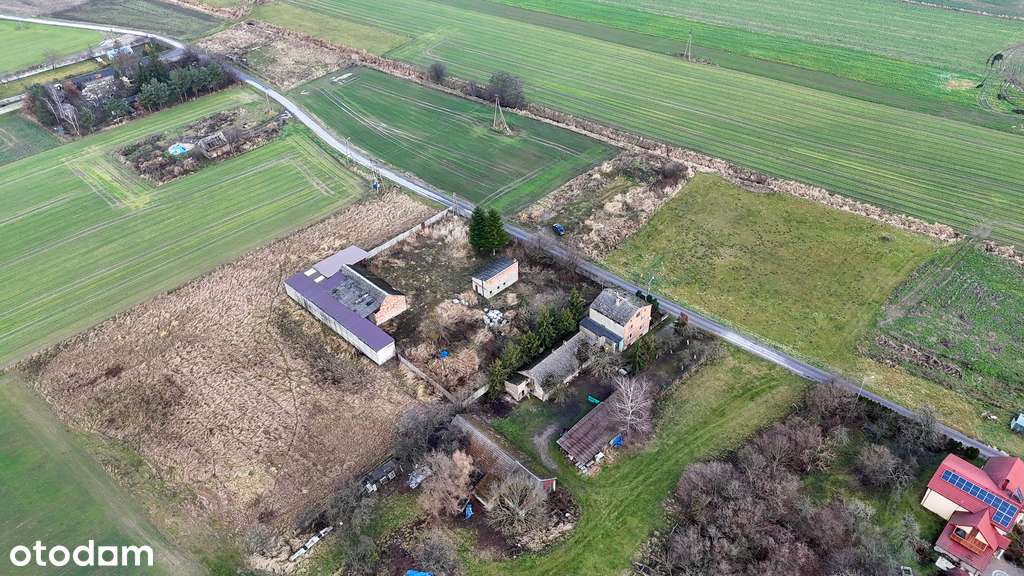 Ożarów, gm. Mokrsko | Działki na sprzedaż-3