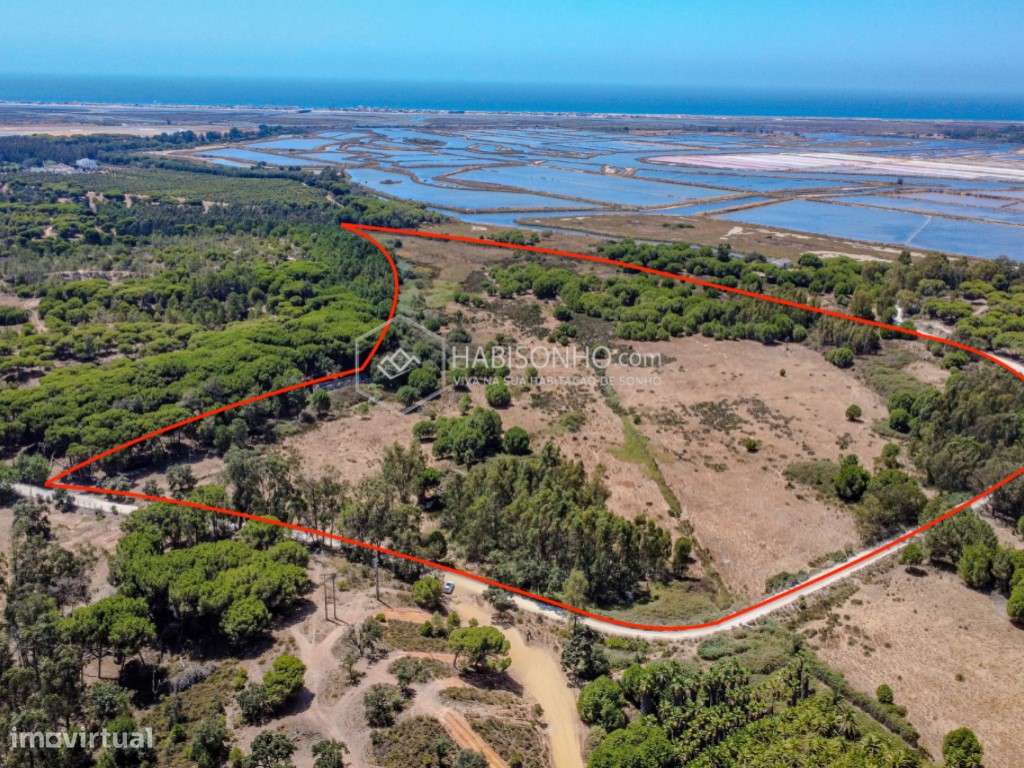 Quinta das Mouras | Faro | Montenegro - Grande imagem: 2/16