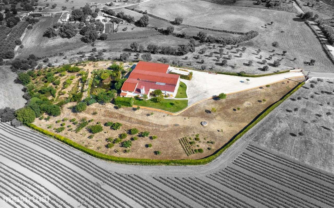 Industrial T0 para venda - Grande imagem: 3/45