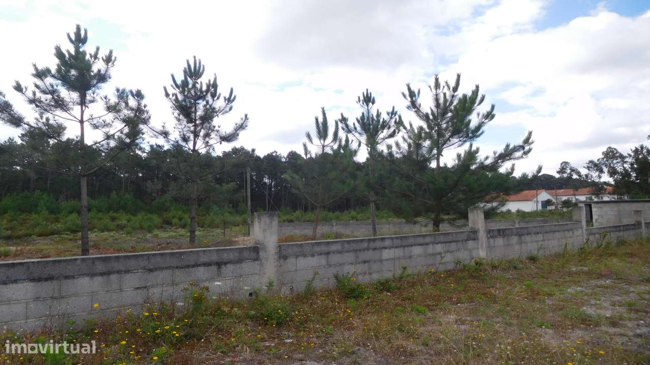 Lote de Terreno  Venda em Monte Redondo e Carreira,Leiria - Grande imagem: 3/3