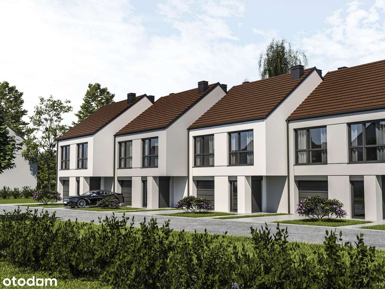 Słoneczna Strefa - ostatni wolny z terminem 03/2026 - Pełny obrazek: 1/6