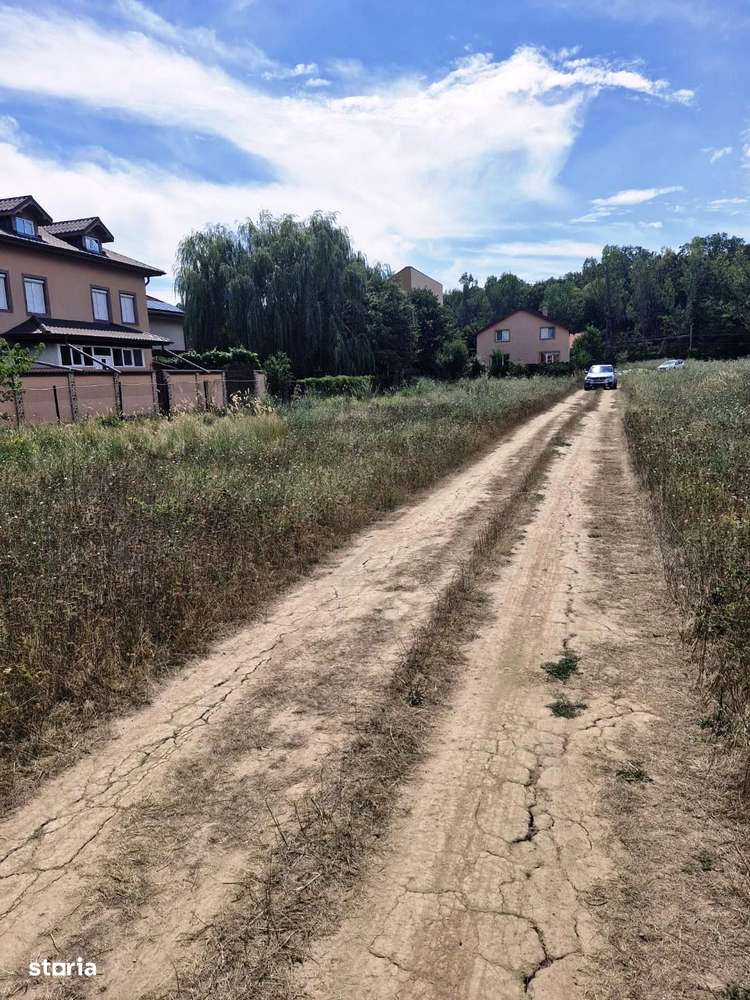 Ciorogarla -Padure - Imagine principală: 3/8