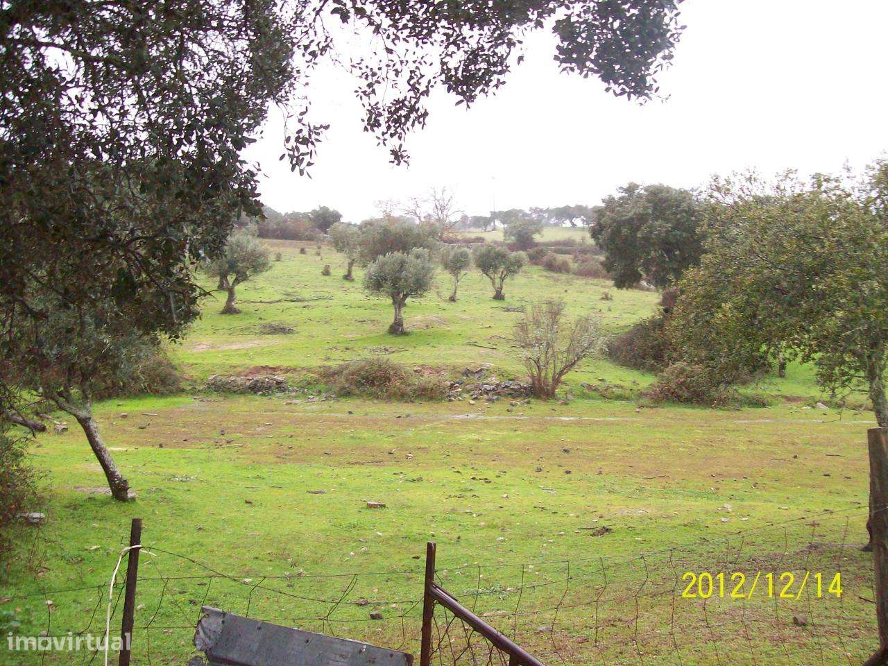 Herdade do Monte da Pedra.-7