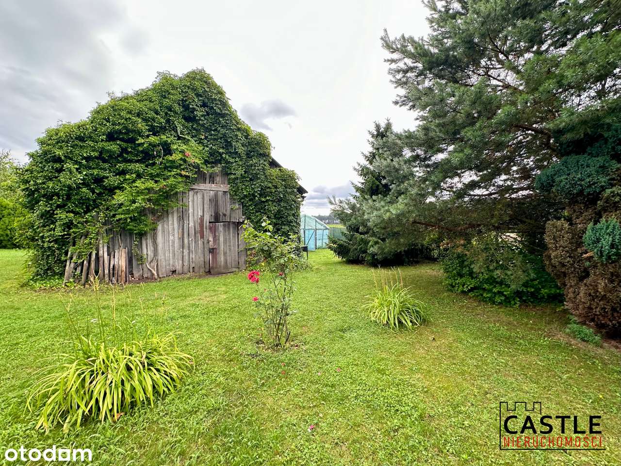 Twój azyl w sercu natury – siedlisko z domem i stodołą. - Pełny obrazek: 5/20