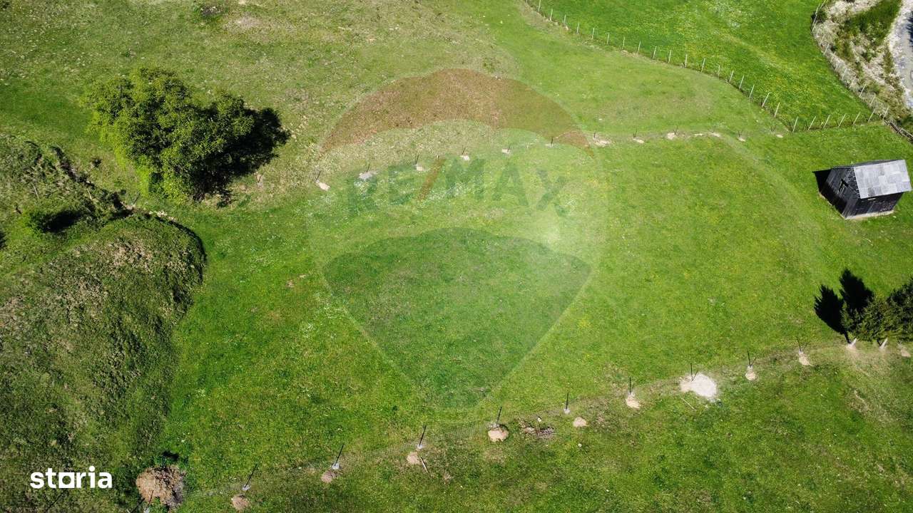 Teren 12,127mp Frasin / Drumul Forestier Valea Seacă - Imagine principală: 4/15