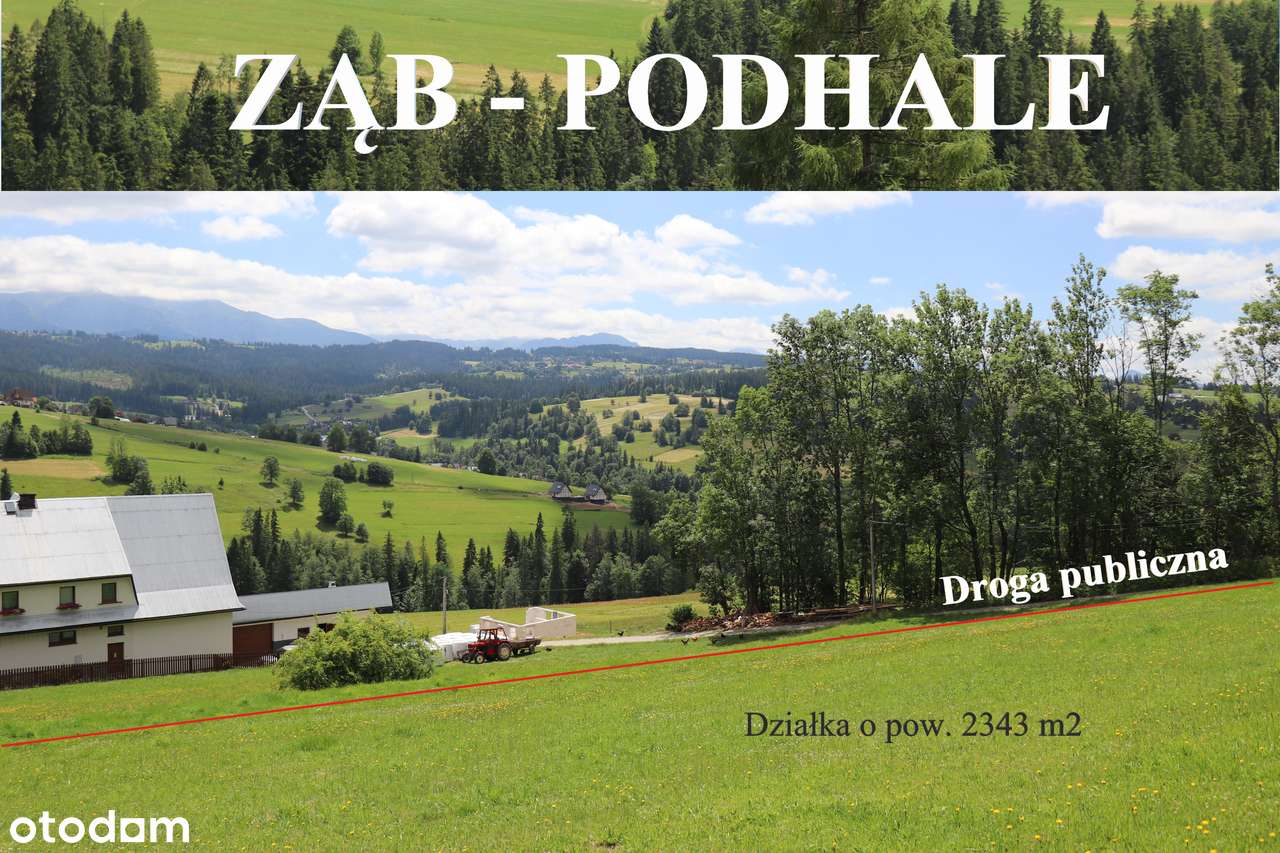 ZĄB - PODHALE. Działka do zabudowy, 963MNPM, widok na TATRY i LAS - Pełny obrazek: 4/5