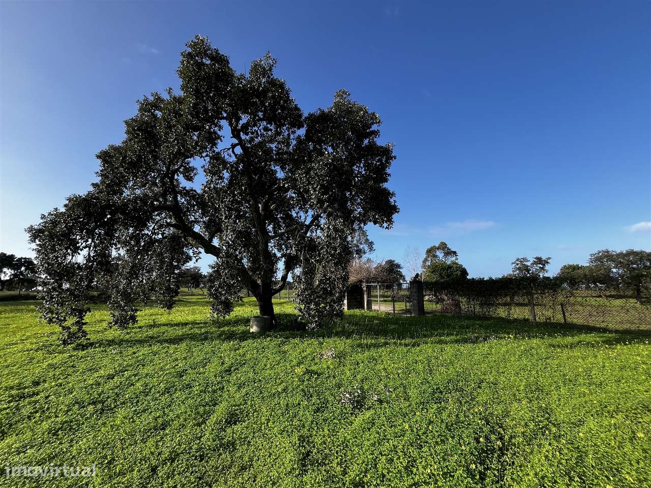 Terreno Urbano  Venda em Cortiçadas de Lavre e Lavre,Montemor-o-Novo-7