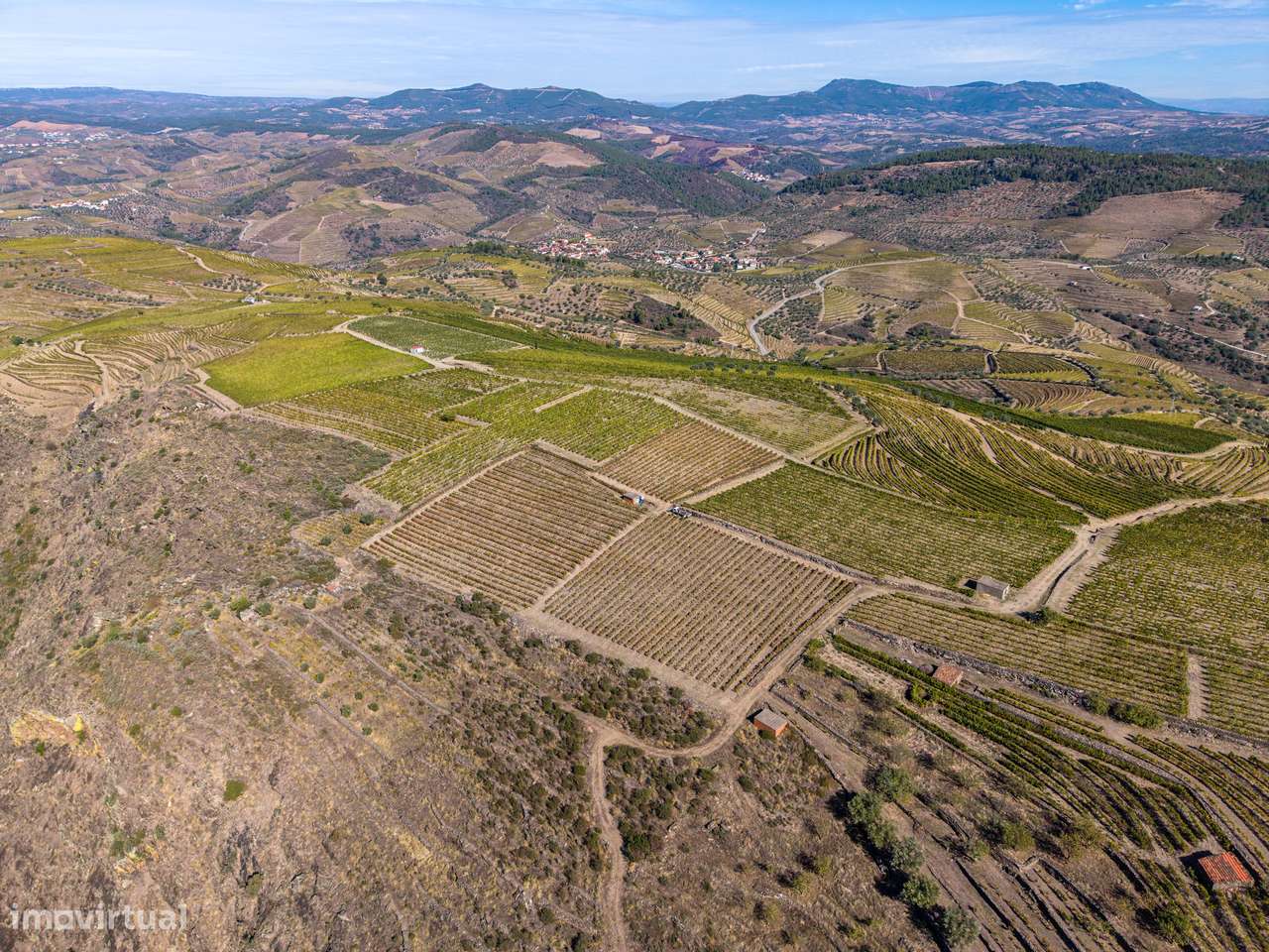 VINHA À VENDA EM MURÇA – REGIÃO DEMARCADA DO DOURO-12