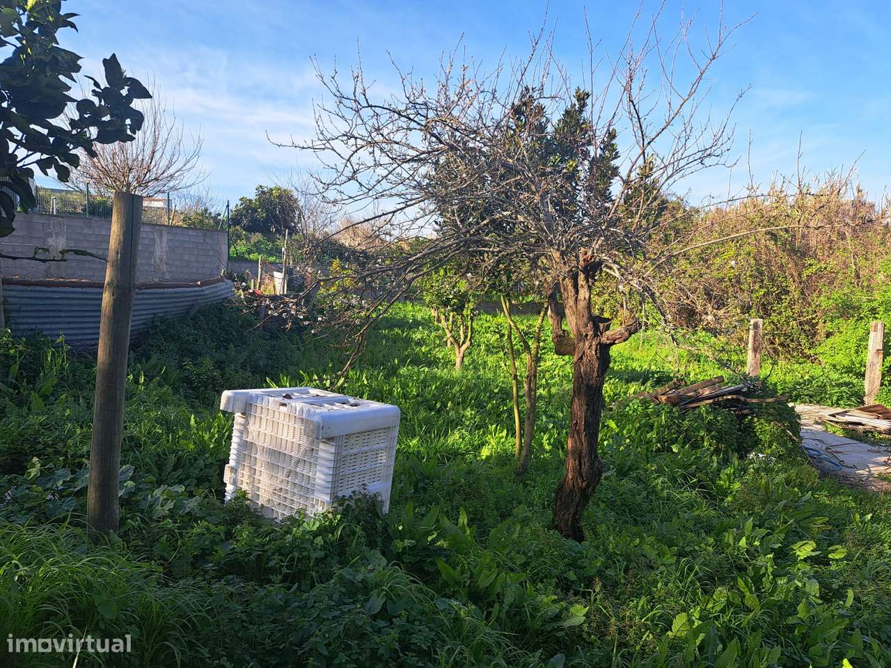 Casa Independente em Aveiras de Cima - Oportunidade Única-8