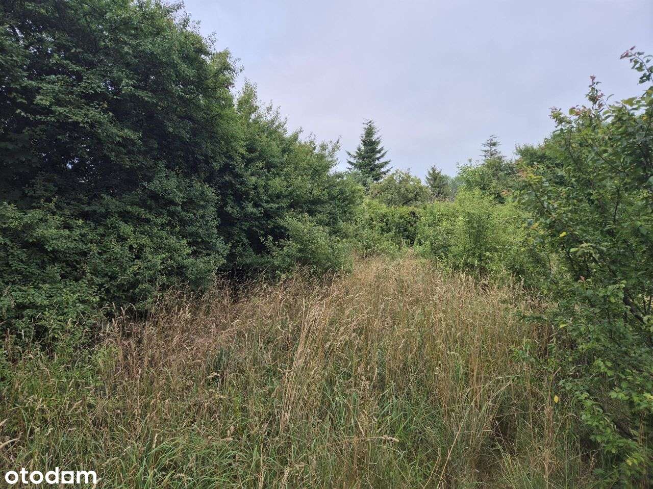 Działka, 719 m², Wejherowo-19