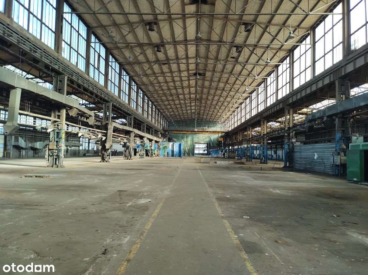 Hala magazynowo - produkcyjna + biura - Pełny obrazek: 4/6