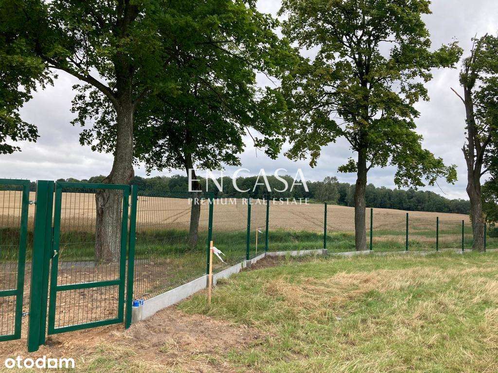 Działka budowlana nad jeziorem Morliny-16