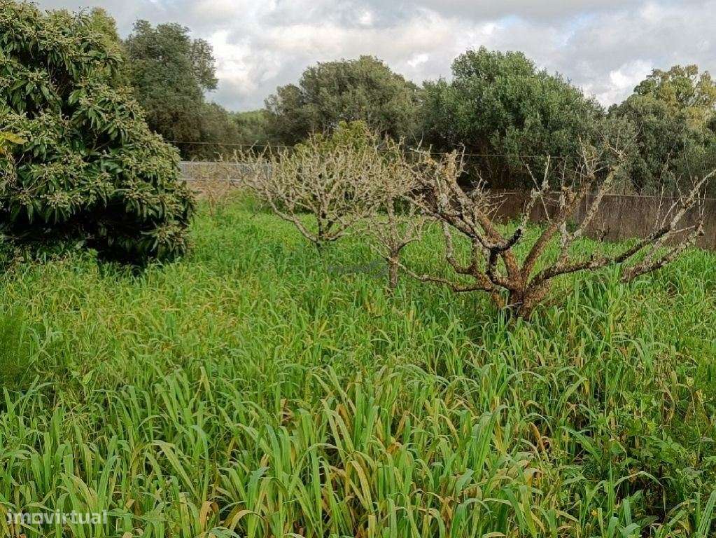 Excelente oportunidade para construção de 1 ou 2 moradias total 880...-12