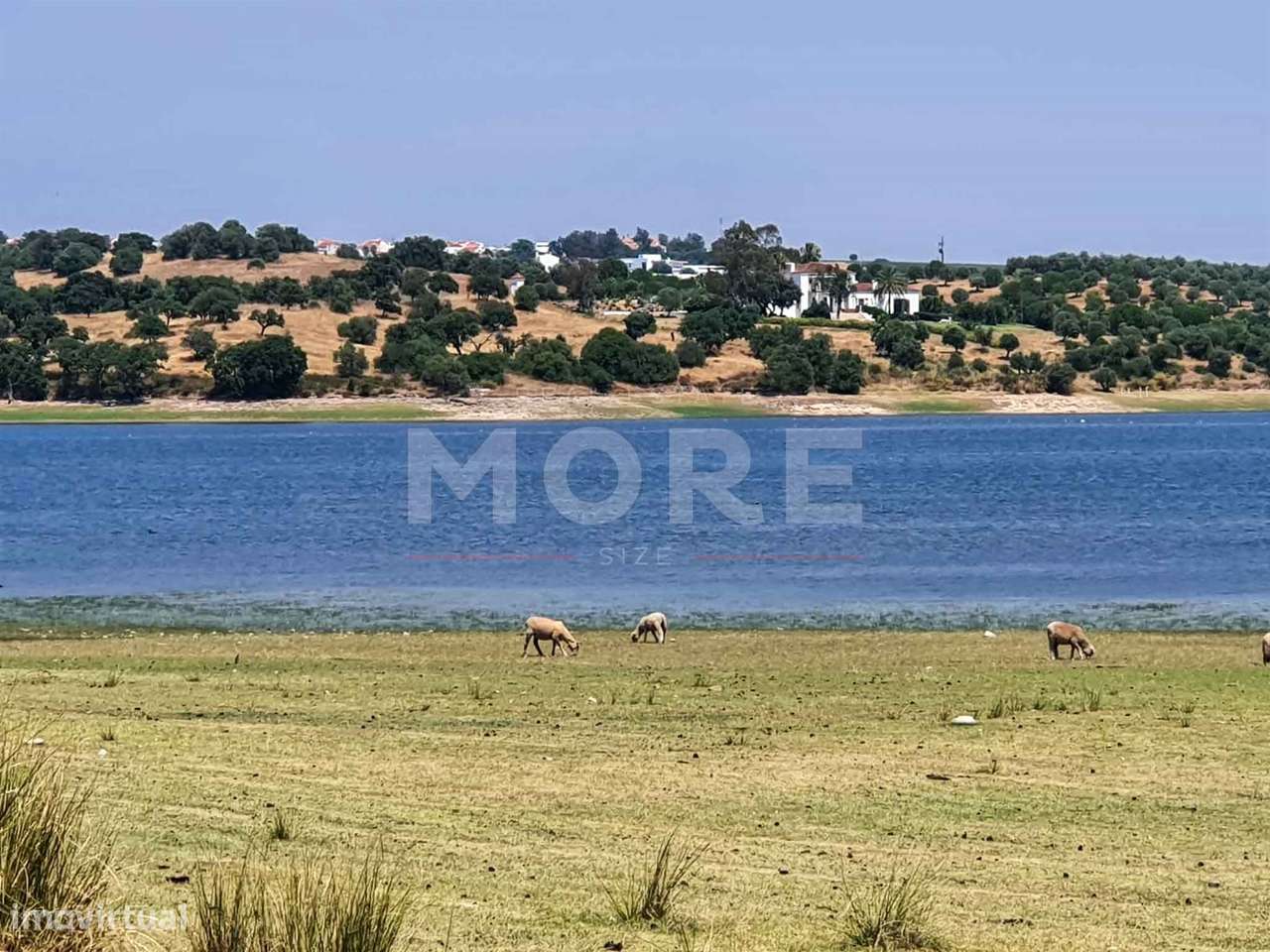 Herdade - 31,5 hectares - Torrão - Grande imagem: 2/45