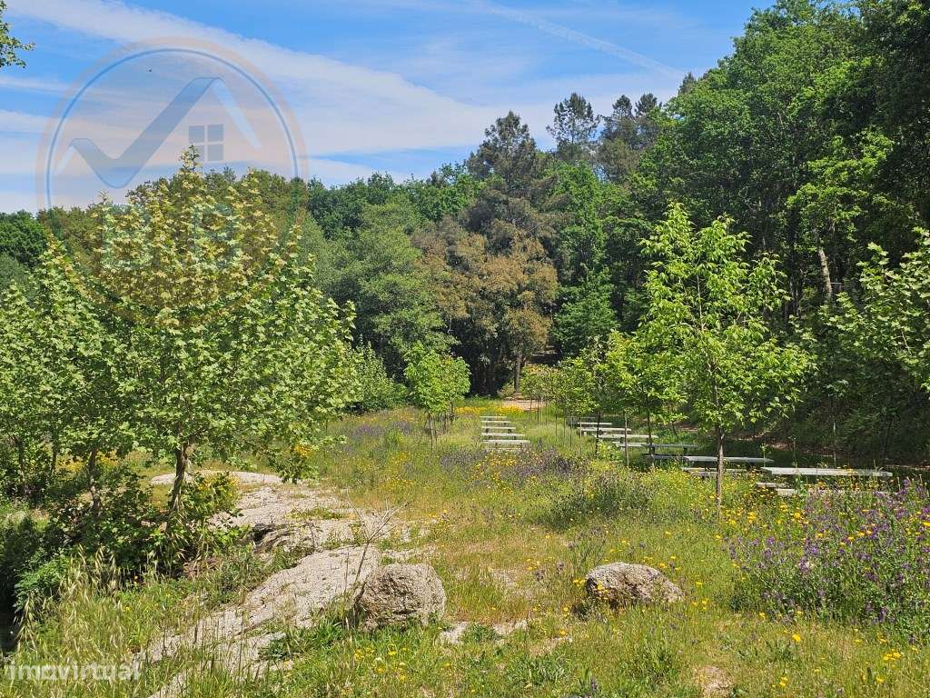 Quintinha próxima a área de lazer e rio de Sta Senhorinha (Basto), ...-35
