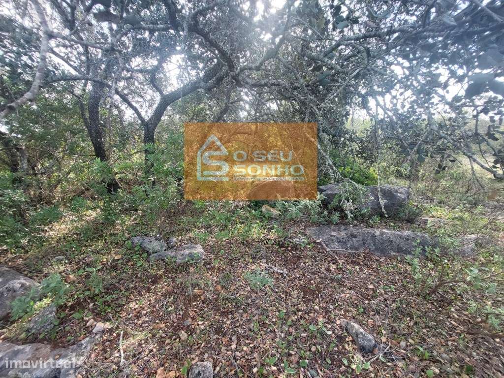 Terreno Rústico com 13.600 m² - Grande imagem: 4/11