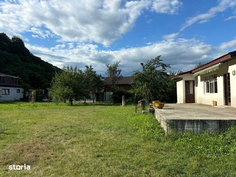 2caselocuibile,30.000 m2 curte 7000 Ingraditi 46ml la drumul principal - Imagine principală: 4/8